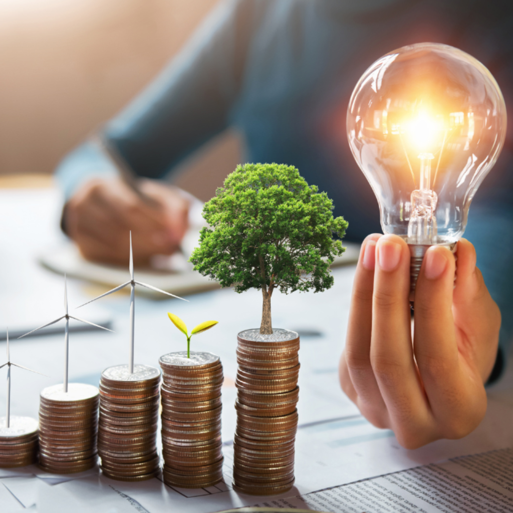  When Success Feels Heavy: A Story of Healing and Renewal